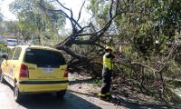 Accidente en la avenida del Ferrocarril.