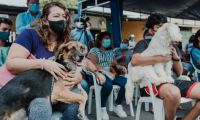 Jornadas de esterilización canina y felina