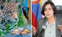 Cumbre de biodiversidad /La ministra de Ambiente, Susana Muhamad