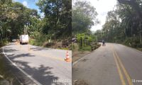 Vía a Minca fue afectada por la caída de un árbol. 