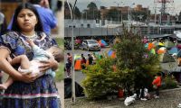 indígenas embera arribaron nuevamente a Bogotá la noche del lunes 25 de noviembre, en una movilización que busca visibilizar las precarias condiciones que enfrentan en sus territorios y exigir respuestas inmediatas.