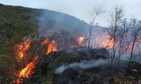 Incendio forestal