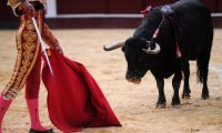 Corridas de toros