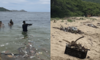 A pesar de 15 días de cierre, el Parque Tayrona fue encontrado lleno de basura