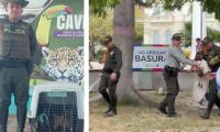 Policía Ambiental y Corpamag, rescate