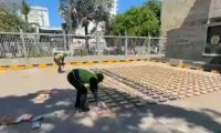 Cocaína incautada en contenedores de cacao en el puerto de Cartagena. 