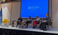 Consejo de DD.HH. de la ONU entregando su informe.