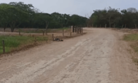 Hallan cuerpo sin vida en la vía Guáimaro - Remolino