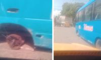 El bus se quedó sin llanta en plena avenida.