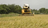 Productores de arroz anuncian paro: advierten pérdidas millonarias y desabastecimiento