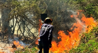 Fuertes vientos han hecho difícil sofocar las llamas.