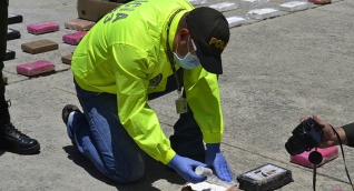 Los 608 kilos  clorhidrato de cocaína que fueron decomisados en el puerto de Santa Marta, tenían como destino Hamburgo, Alemania.