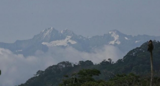 El jefe del Parque Sierra Nevada de Santa Marta está amenazado. 