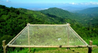 Casa Elemento.