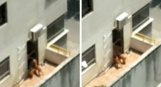 Seguimiento Denuncia ciudadana.