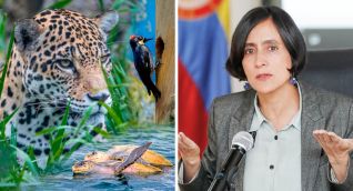 Cumbre de biodiversidad /La ministra de Ambiente, Susana Muhamad