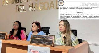 Decisión del Consejo de Estado.