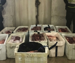 Autoridades evitaron que 17 toneladas de carnes ingresaran al departamento de manera ilegal.