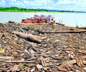 La selva talada está generando consecuencias ambientales, sobre todo en precipitaciones.