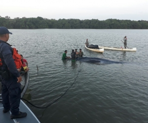 Aspecto de la ballena encallada que fue atendida por la Armada.