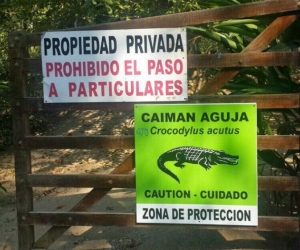 Estos son algunos de los letreros que previenen sobre la presencia de caimanes.