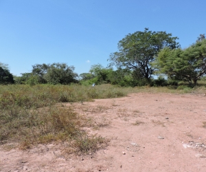 Este es el terreno donde se construiría la sede sur de Unimagdalena en El Banco.