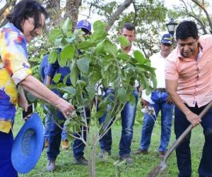 Pablo Vera y Zarita Abello, durante la siembra del ficus.