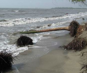 Playas de Ciénaga.