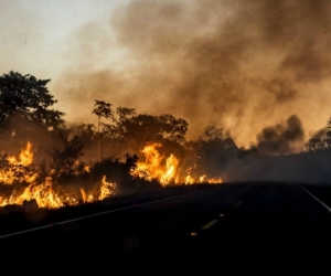 El que más ha perdido hectáreas es el estado de Mato Grosso, con 5.955.