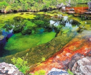 Entre los atractivos se encuentra río multicolor Caño Cristales.