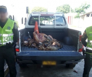 Parte de la carne decomisada en El Piñón y Tenerife.