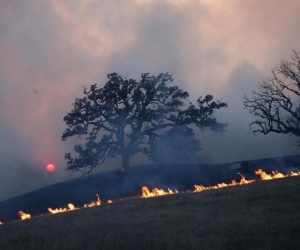  Las nueve víctimas mortales fueron halladas en Paradise. 