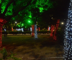 Así se observa el Parque Bolívar. 