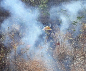 Incendio atendido por el Cuerpo de Bomberos.