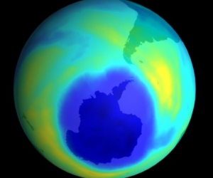  El ozono es una sustancia formada en la estratosfera y producida en latitudes tropicales que después se distribuye por todo el globo.