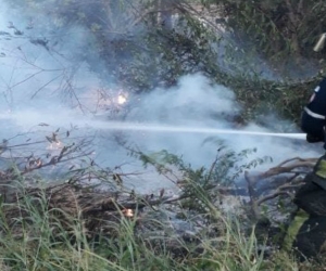 En las últimas horas se registraron incendios de cobertura vegetal.