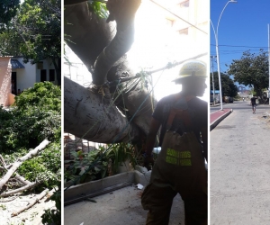 El cuerpo de Bomberos ha ejecutado maniobras de corte, remoción y amarre para recuperar la movilidad en las vías afectadas.