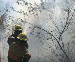 Bomberos atienden la emergencia. 