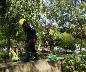 Este grupo trabaja para mejorar la imagen de la ciudad durante la temporada de Semana Santa