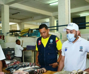 Inspección en el mercado público.