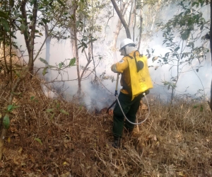 Bomberos trabajan para controlar la conflagración. 