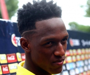 Yerry Mina