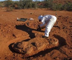 Lugar del descubrimiento de los restos del dinosaurio.