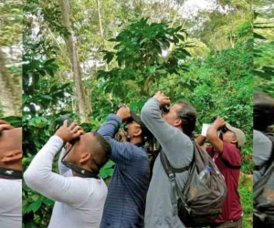 La visita de expertos en avistamiento de aves.