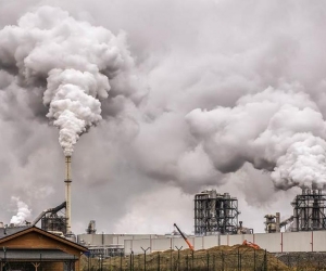  En ambientes con mayor contaminación la cantidad de proteínas, hierro y zinc en cultivos disminuye del 3 al 17 %.