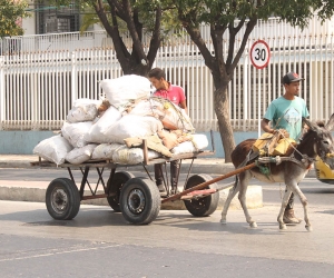 Vehículos de tracción animal en Santa Marta 