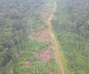 Deforestación en Guaviare.