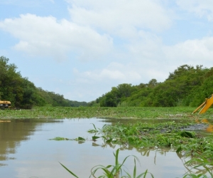 Ciénaga Grande de Santa Marta.