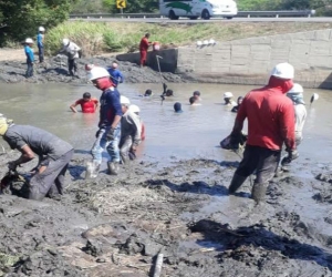 Los trabajos incluyeron el retiro de los sedimentos, maleza, troncos y raíces.