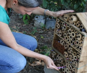 Los llamados hoteles de abejas fueron instalados en cinco puntos de la Universidad, con el propósito de lograr estudiar e identificar las especies que se encuentran en el Campus y sus alrededores.